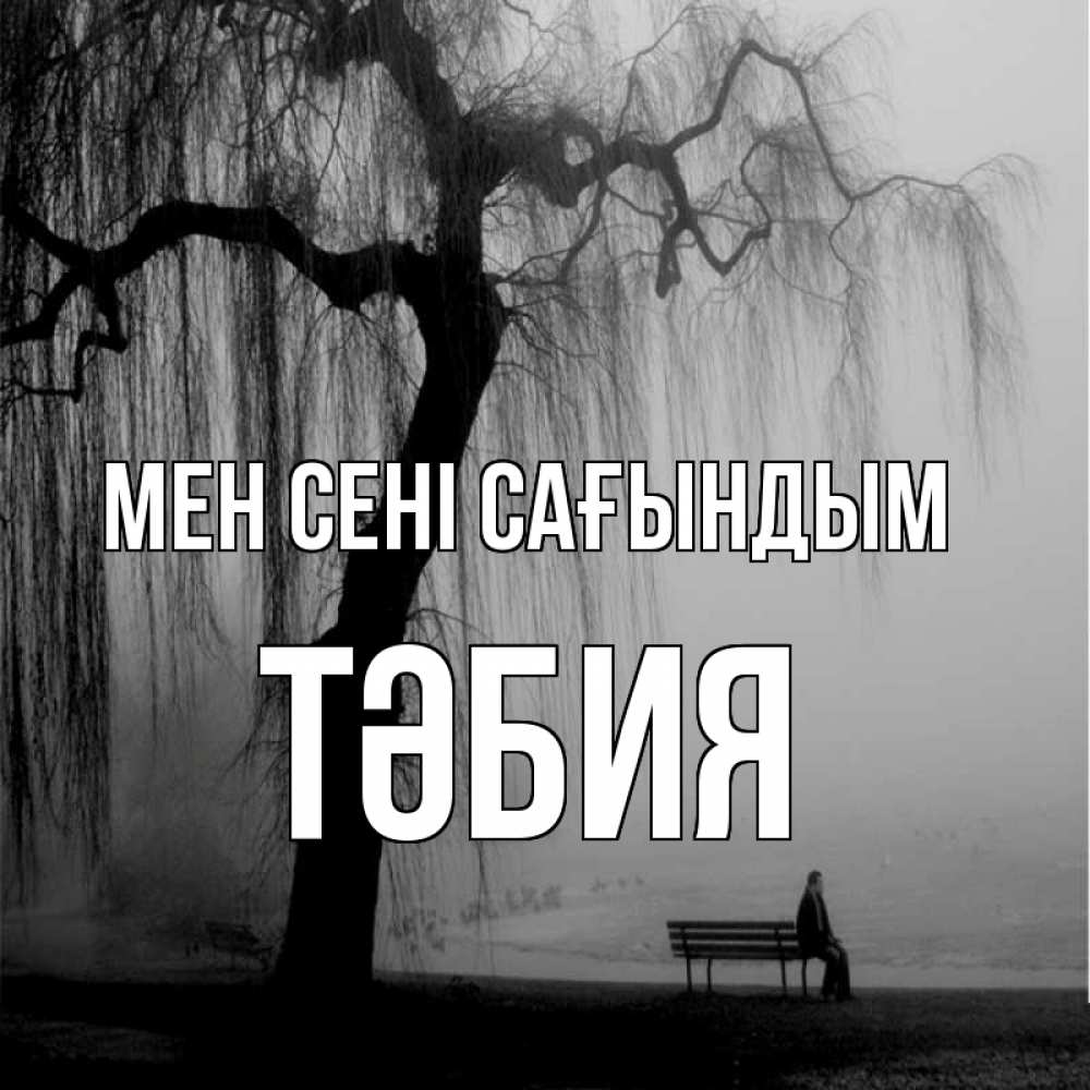 Күн сайын ашық хат с именем, ТӘБИЯ Мен сені сағындым лавочка под деревом я жду тебя Онлайн тегін жүктеп алу тілектері бар керемет карта 