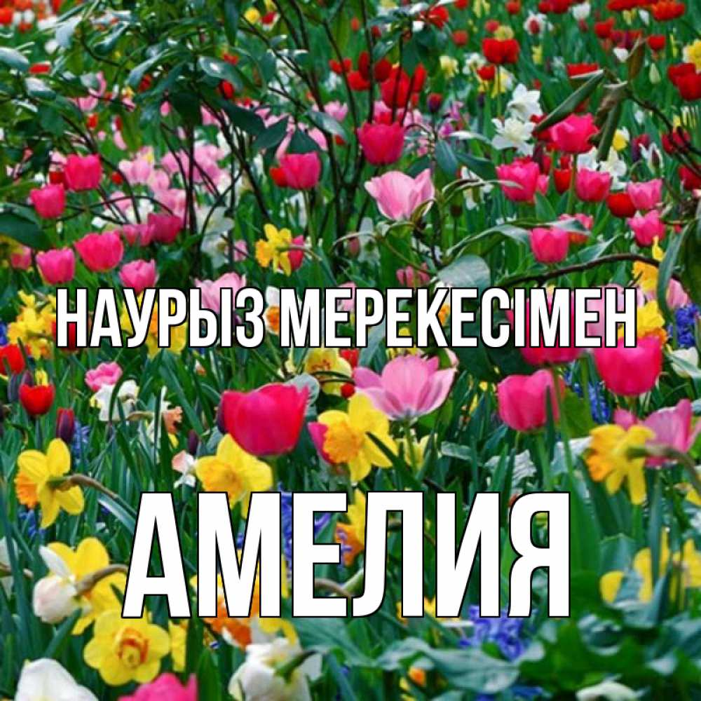 Күн сайын ашық хат с именем, Амелия Наурыз мерекесімен с наурызом праздником весны поздравления для женщины Онлайн тегін жүктеп алу тілектері бар керемет карта 