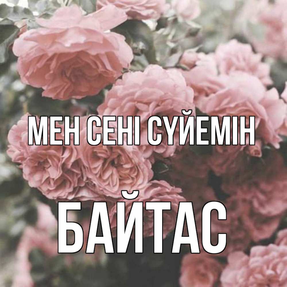 Күн сайын ашық хат с именем, Байтас Мен сені сүйемін розы 3 Онлайн тегін жүктеп алу тілектері бар керемет карта 