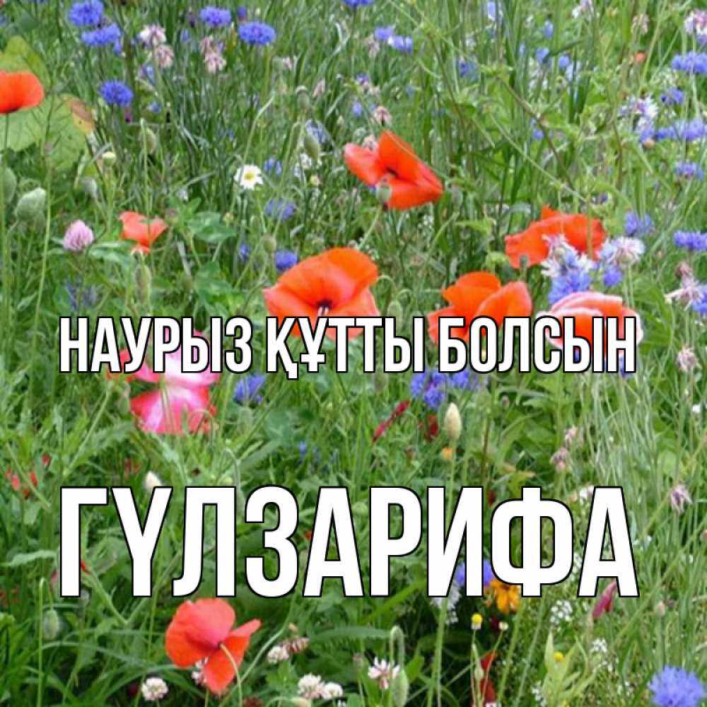Күн сайын ашық хат с именем, ГҮЛЗАРИФА Наурыз құтты болсын наурыз  4 Онлайн тегін жүктеп алу тілектері бар керемет карта 
