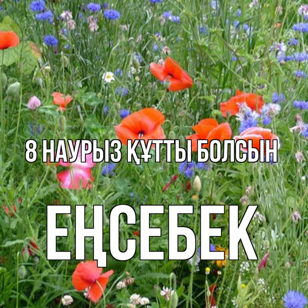 Күн сайын ашық хат с именем, Еңсебек 8 наурыз құтты болсын международный женский день 4 Онлайн тегін жүктеп алу тілектері бар керемет карта 