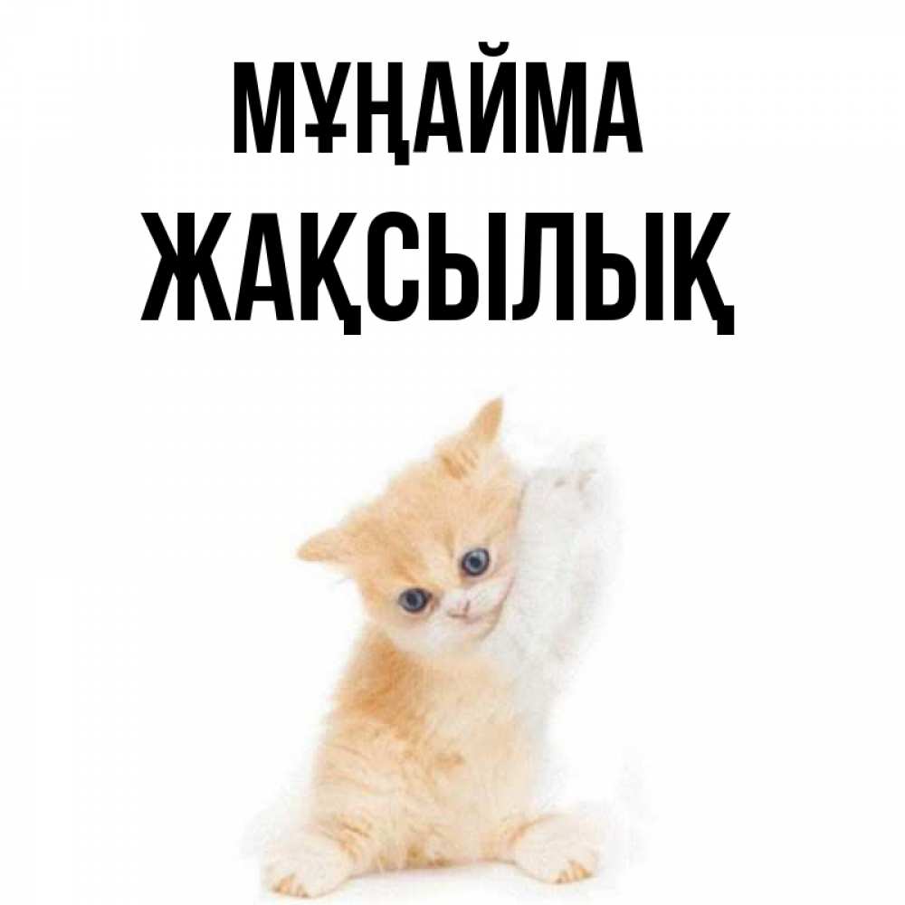Күн сайын ашық хат с именем, Жақсылық Мұңайма просящий кот Онлайн тегін жүктеп алу тілектері бар керемет карта 