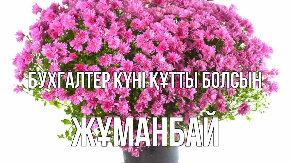 Күн сайын ашық хат с именем, Жұманбай бухгалтер күні құтты болсын с днем бухгалтера Онлайн тегін жүктеп алу тілектері бар керемет карта 