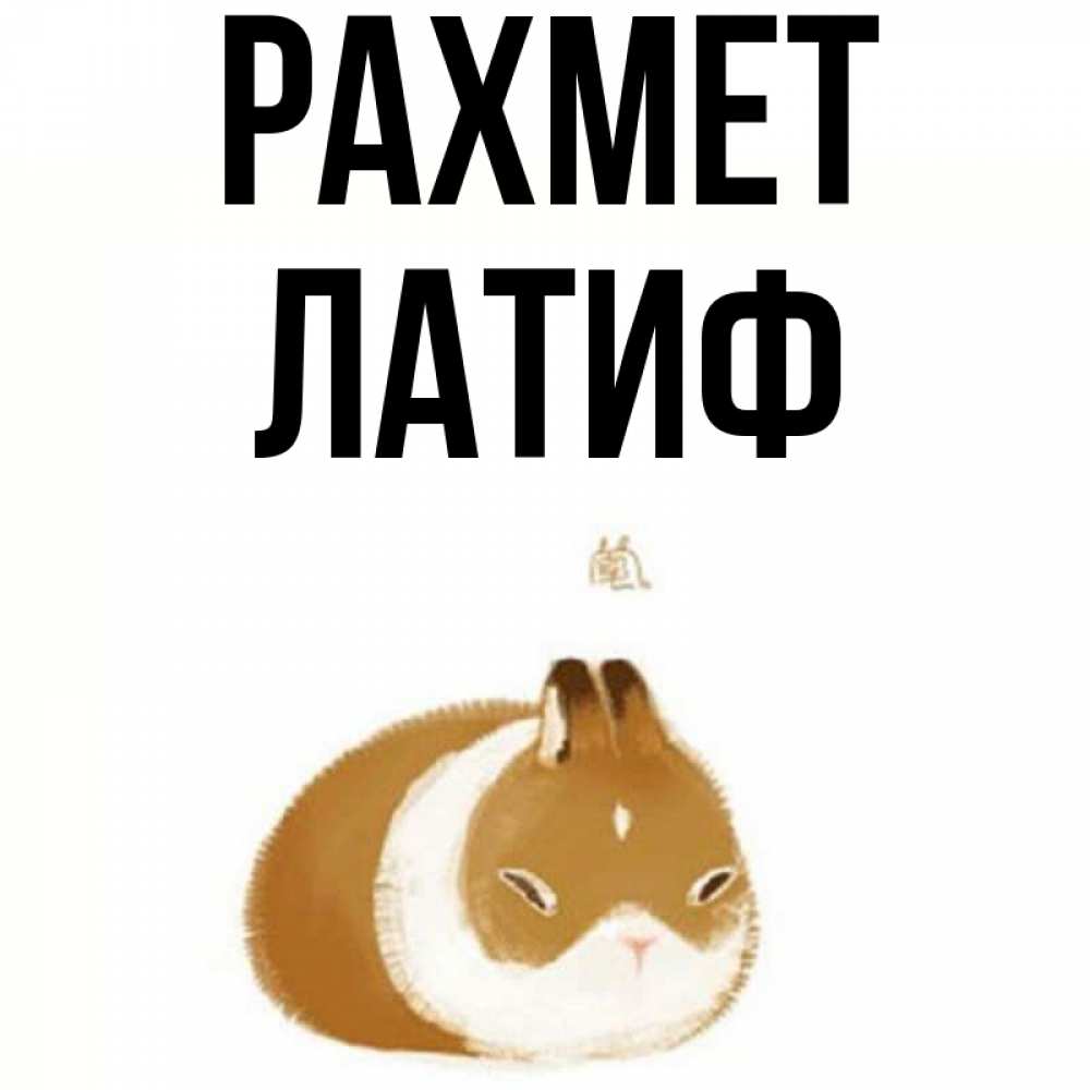 Күн сайын ашық хат с именем, ЛАТИФ рахмет коричнево белый домашний питомец Онлайн тегін жүктеп алу тілектері бар керемет карта 