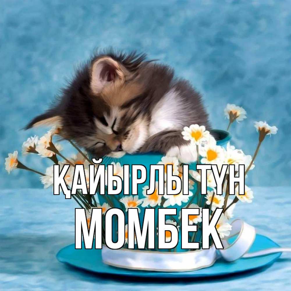 Күн сайын ашық хат с именем, МОМБЕК Қайырлы түн котенок спит в кружке с блюдцем Онлайн тегін жүктеп алу тілектері бар керемет карта 