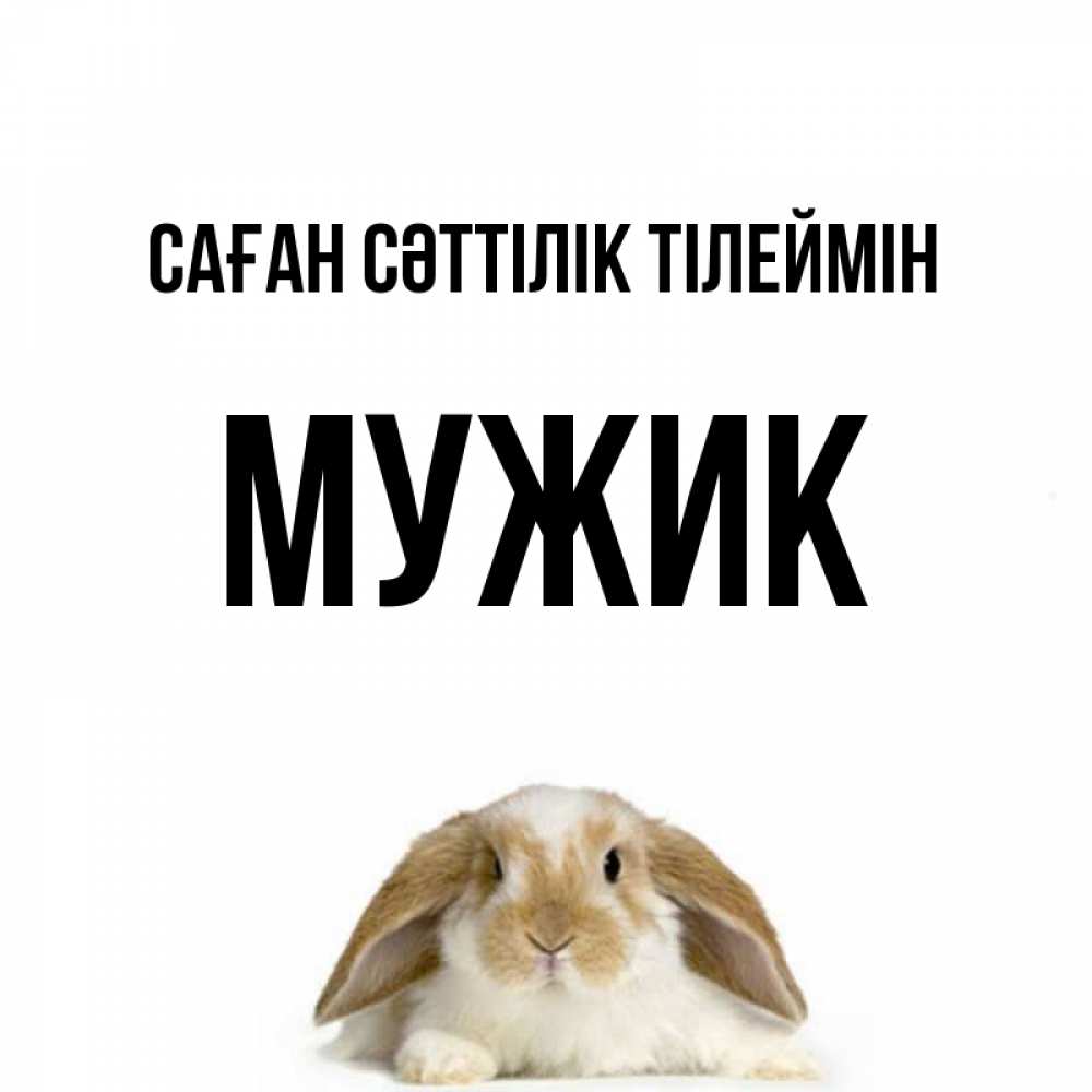 Күн сайын ашық хат с именем, Мужик Саған сәттілік тілеймін открытки с произвольным текстом который можно вставить в открытку и создать ее самостоятельно бесплатно онлайн Онлайн тегін жүктеп алу тілектері бар керемет карта 