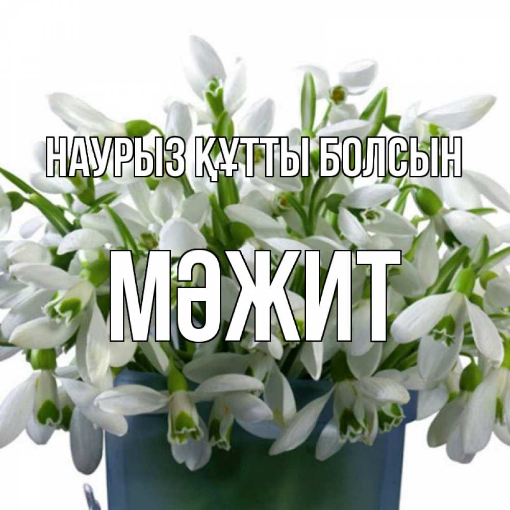 Күн сайын ашық хат с именем, МӘЖИТ Наурыз құтты болсын цветы к наурызу Онлайн тегін жүктеп алу тілектері бар керемет карта 