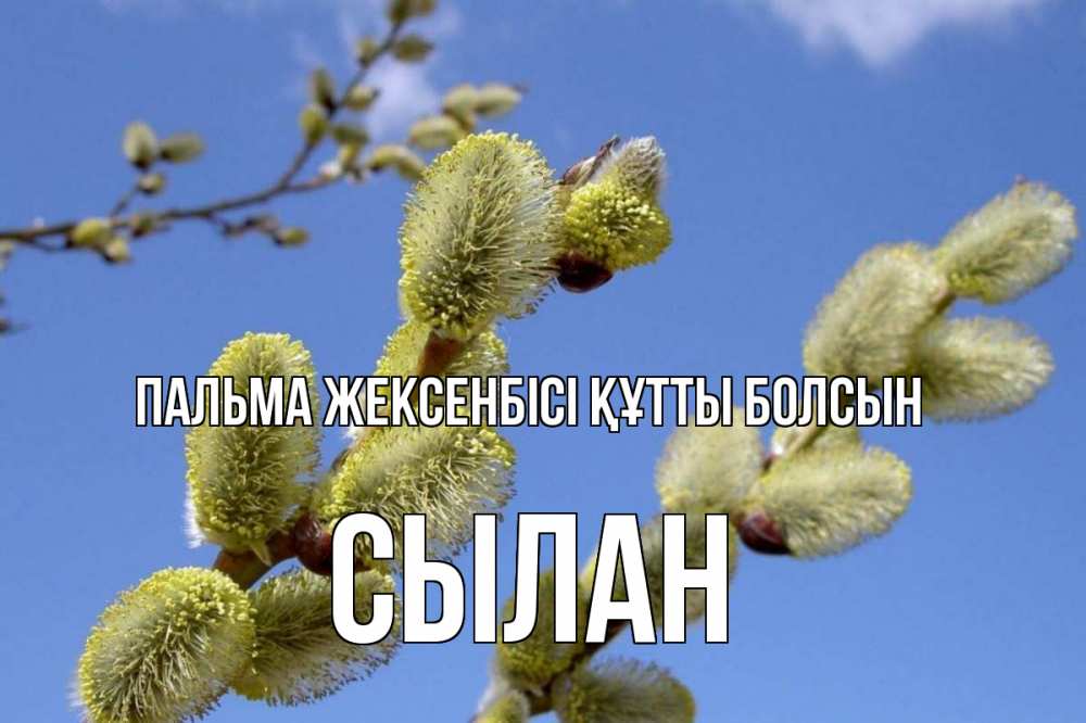 Күн сайын ашық хат с именем, СЫЛАН Пальма жексенбісі құтты болсын верба Онлайн тегін жүктеп алу тілектері бар керемет карта 