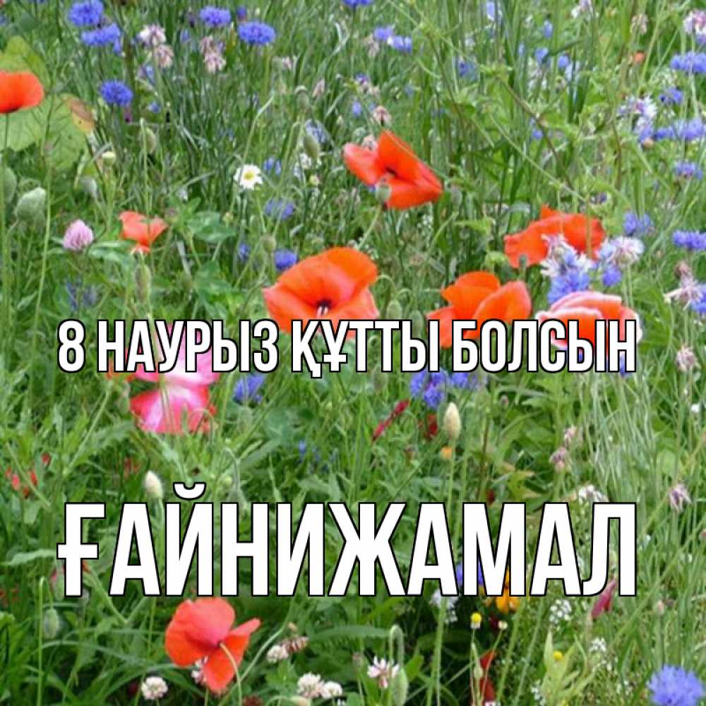 Күн сайын ашық хат с именем, ҒАЙНИЖАМАЛ 8 наурыз құтты болсын международный женский день 4 Онлайн тегін жүктеп алу тілектері бар керемет карта 