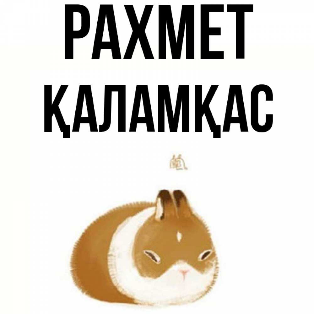 Күн сайын ашық хат с именем, ҚАЛАМҚАС рахмет коричнево белый домашний питомец Онлайн тегін жүктеп алу тілектері бар керемет карта 