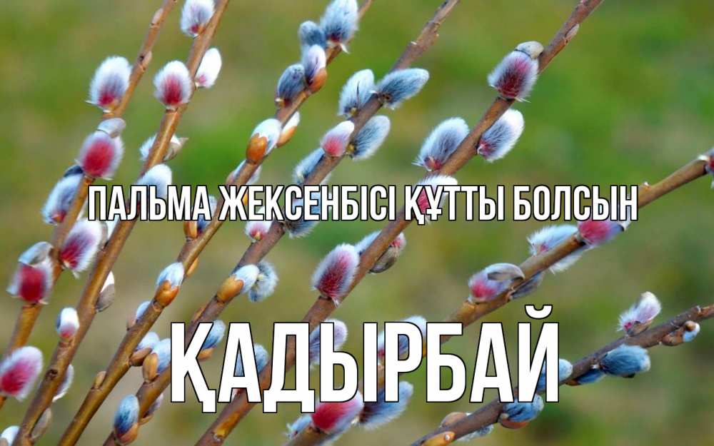 Күн сайын ашық хат с именем, Қадырбай Пальма жексенбісі құтты болсын верба Онлайн тегін жүктеп алу тілектері бар керемет карта 