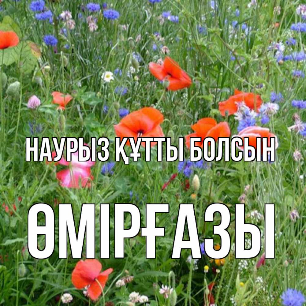 Күн сайын ашық хат с именем, ӨМІРҒАЗЫ Наурыз құтты болсын наурыз  4 Онлайн тегін жүктеп алу тілектері бар керемет карта 