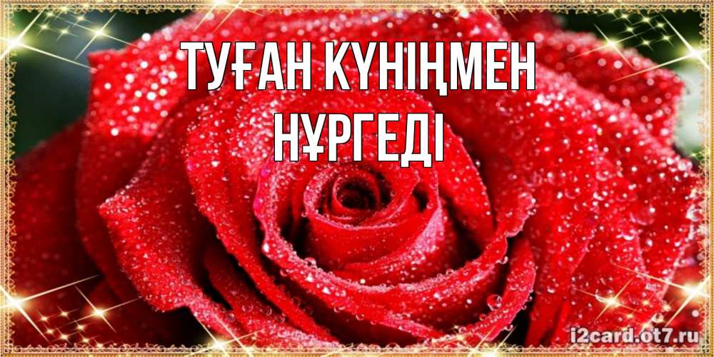 Күн сайын ашық хат с именем, НҰРГЕДІ Туған күніңмен роса и роза. открытка с красивой розой Онлайн тегін жүктеп алу тілектері бар керемет карта 