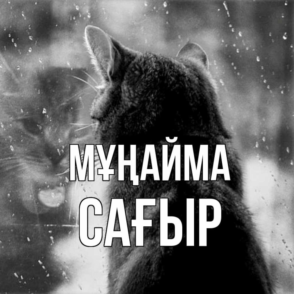 Күн сайын ашық хат с именем, САҒЫР Мұңайма отражение кота 1 Онлайн тегін жүктеп алу тілектері бар керемет карта 