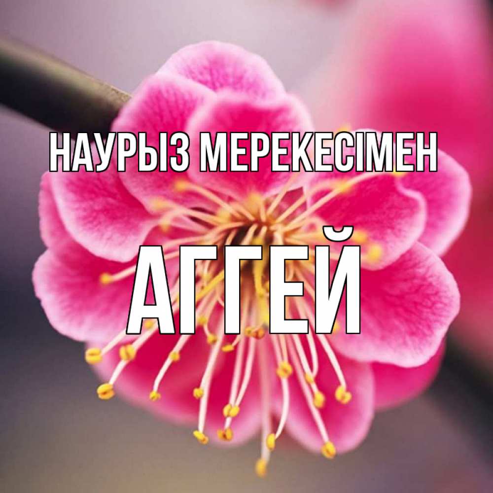 Күн сайын ашық хат с именем, Аггей Наурыз мерекесімен цветы Онлайн тегін жүктеп алу тілектері бар керемет карта 