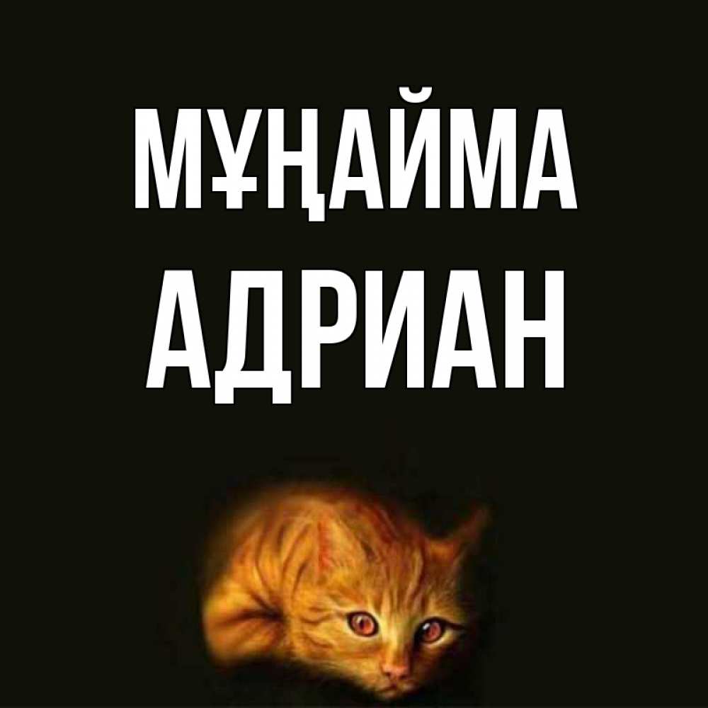 Күн сайын ашық хат с именем, Адриан Мұңайма лежащий кот в темноте Онлайн тегін жүктеп алу тілектері бар керемет карта 