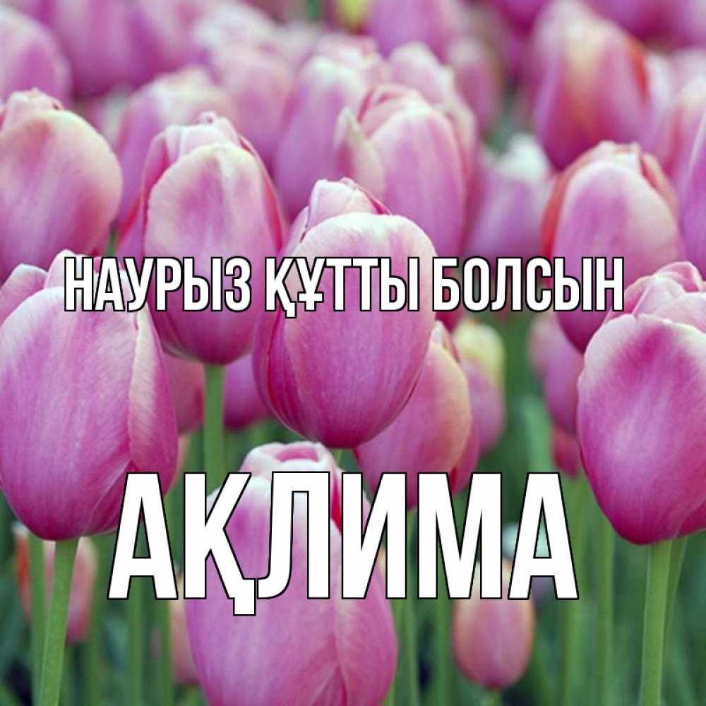 Күн сайын ашық хат с именем, АҚЛИМА Наурыз құтты болсын на наурыз  день 3 Онлайн тегін жүктеп алу тілектері бар керемет карта 