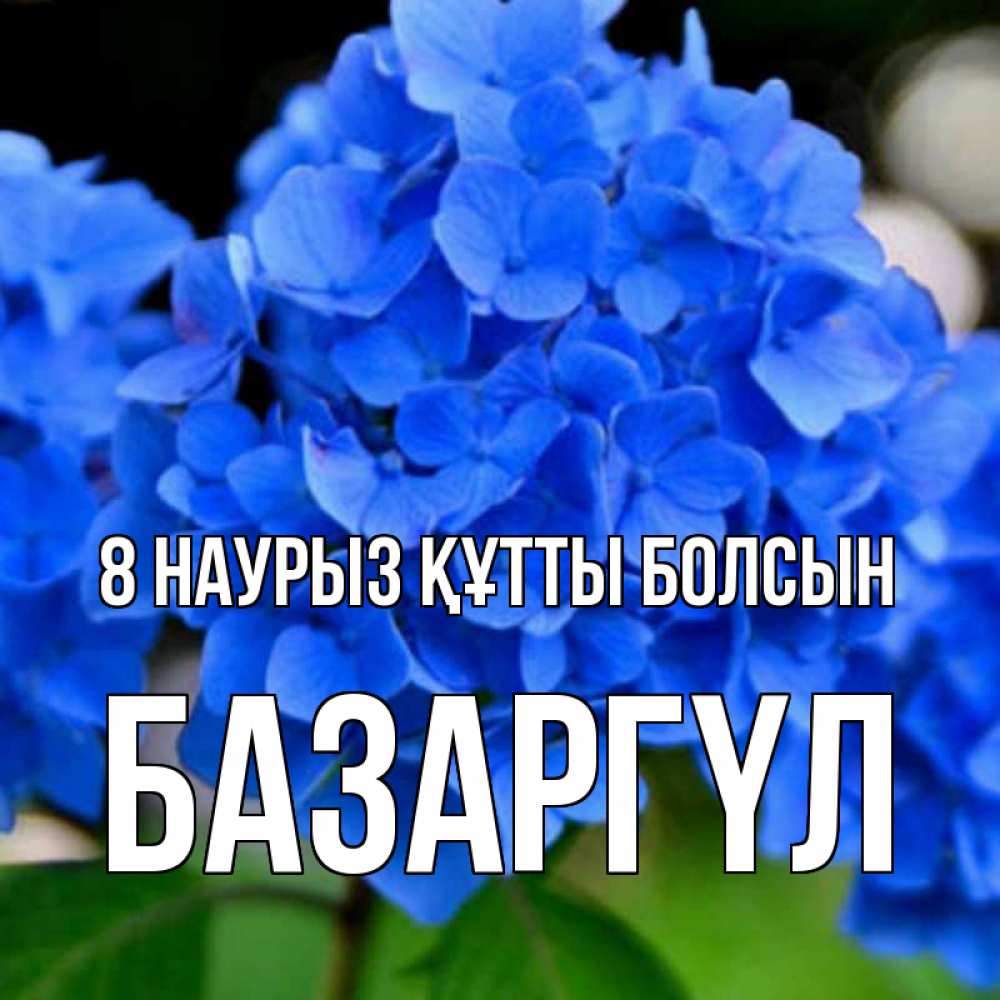Күн сайын ашық хат с именем, БАЗАРГҮЛ 8 наурыз құтты болсын синие цветы Онлайн тегін жүктеп алу тілектері бар керемет карта 