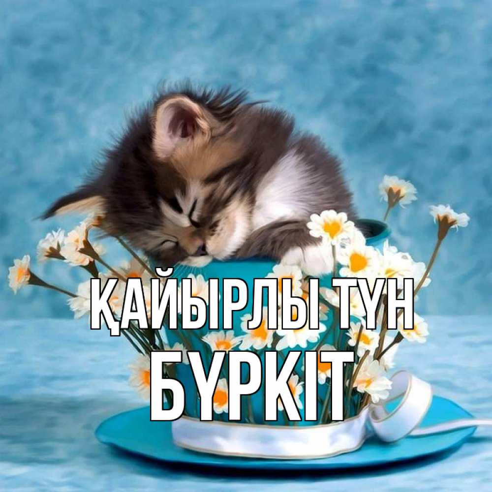 Күн сайын ашық хат с именем, Бүркіт Қайырлы түн котенок спит в кружке с блюдцем Онлайн тегін жүктеп алу тілектері бар керемет карта 
