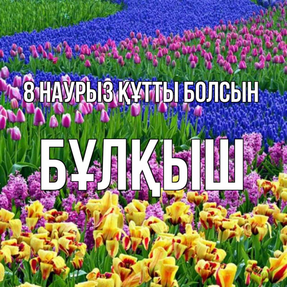 Күн сайын ашық хат с именем, Бұлқыш 8 наурыз құтты болсын цветы Онлайн тегін жүктеп алу тілектері бар керемет карта 