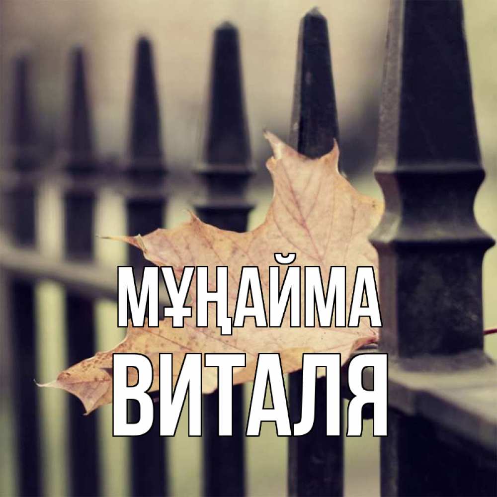 Күн сайын ашық хат с именем, Виталя Мұңайма лист клена Онлайн тегін жүктеп алу тілектері бар керемет карта 
