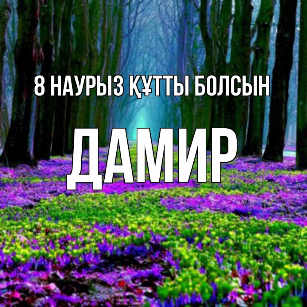 Күн сайын ашық хат с именем, Дамир 8 наурыз құтты болсын фиолетовые цветы в лесу 1 Онлайн тегін жүктеп алу тілектері бар керемет карта 