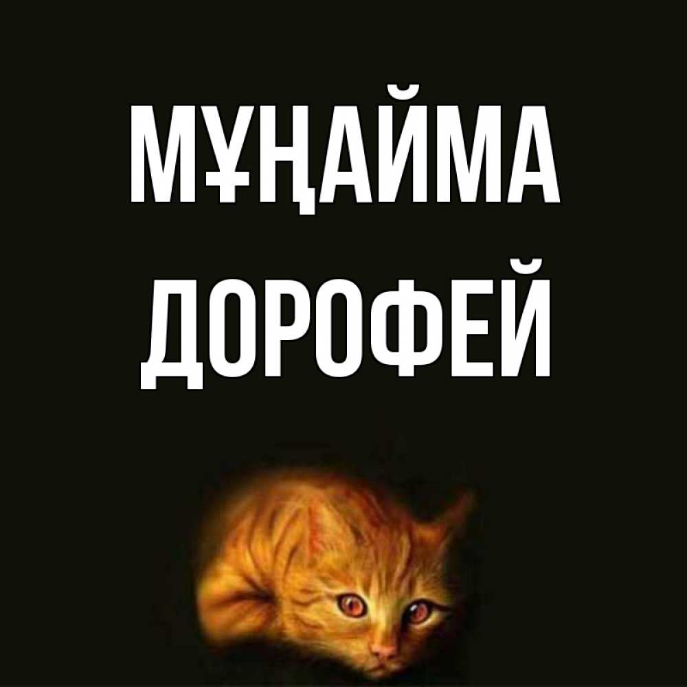 Күн сайын ашық хат с именем, Дорофей Мұңайма лежащий кот в темноте Онлайн тегін жүктеп алу тілектері бар керемет карта 