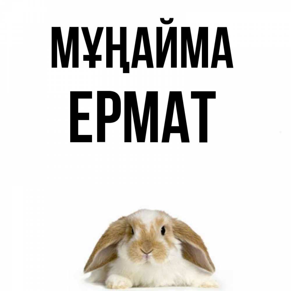 Күн сайын ашық хат с именем, Ермат Мұңайма коричнево белый заяц с большими ушками Онлайн тегін жүктеп алу тілектері бар керемет карта 