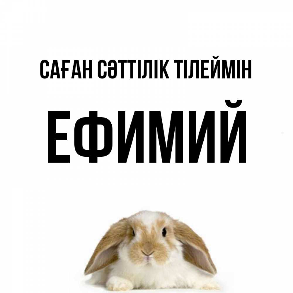 Күн сайын ашық хат с именем, Ефимий Саған сәттілік тілеймін открытки с произвольным текстом который можно вставить в открытку и создать ее самостоятельно бесплатно онлайн Онлайн тегін жүктеп алу тілектері бар керемет карта 
