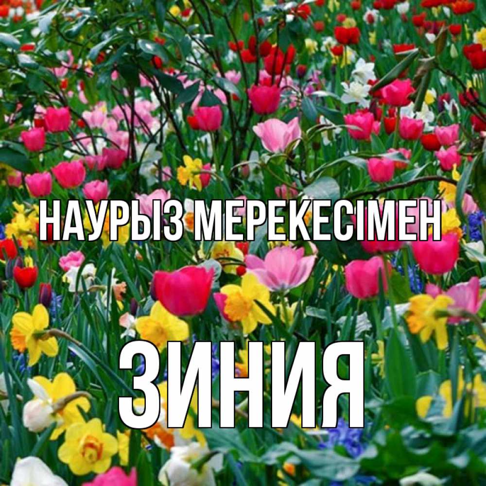 Күн сайын ашық хат с именем, ЗИНИЯ Наурыз мерекесімен с наурызом праздником весны поздравления для женщины Онлайн тегін жүктеп алу тілектері бар керемет карта 