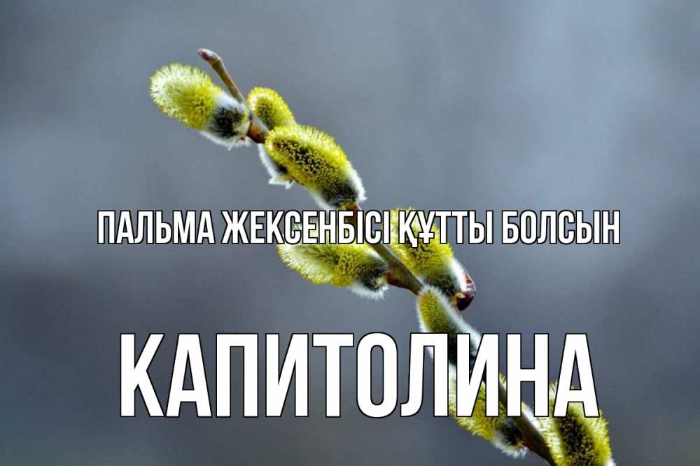 Күн сайын ашық хат с именем, Капитолина Пальма жексенбісі құтты болсын верба Онлайн тегін жүктеп алу тілектері бар керемет карта 