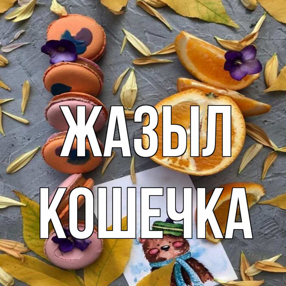 Күн сайын ашық хат с именем, Кошечка Жазыл не болейте Онлайн тегін жүктеп алу тілектері бар керемет карта 