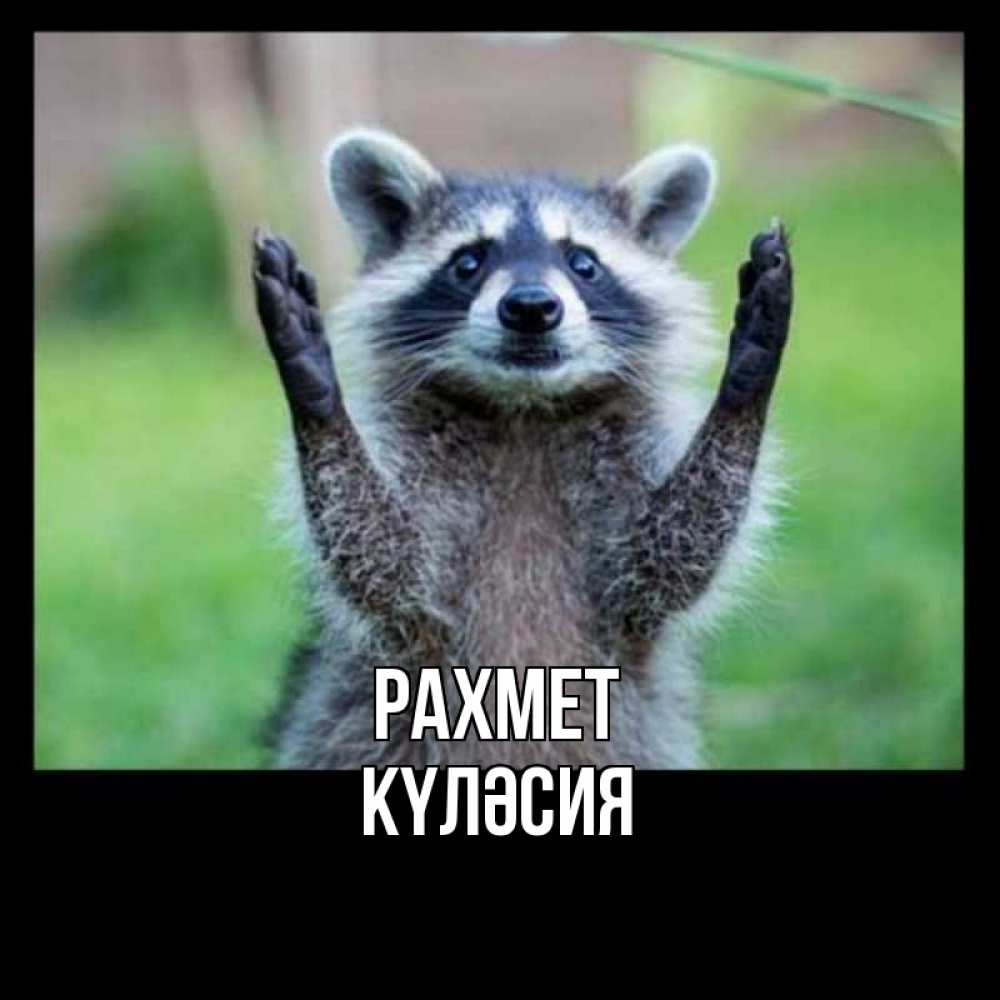 Күн сайын ашық хат с именем, КҮЛӘСИЯ рахмет милые животные Онлайн тегін жүктеп алу тілектері бар керемет карта 
