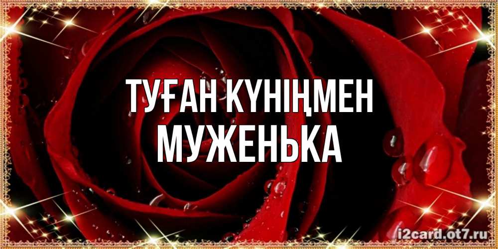 Күн сайын ашық хат с именем, Муженька Туған күніңмен цветок в росе на день рождения Онлайн тегін жүктеп алу тілектері бар керемет карта 