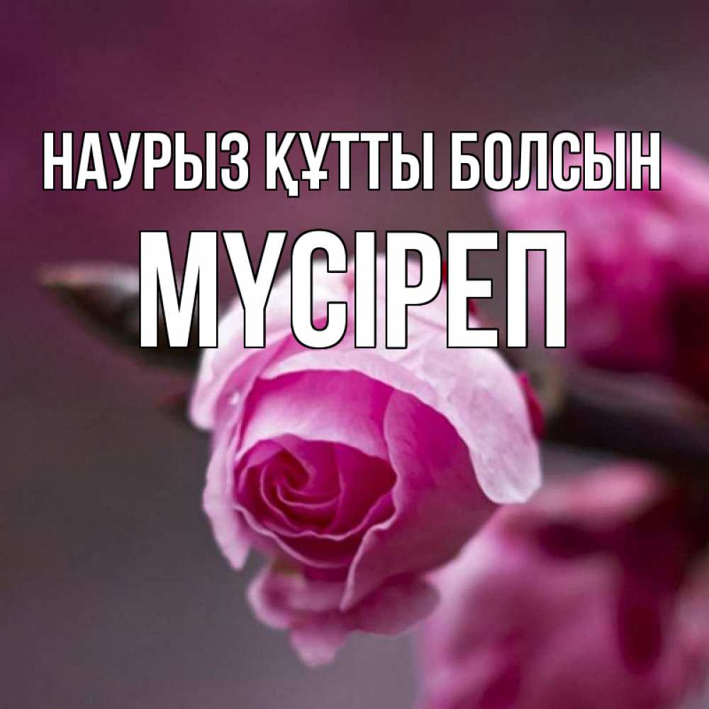 Күн сайын ашық хат с именем, МҮСІРЕП Наурыз құтты болсын весна Онлайн тегін жүктеп алу тілектері бар керемет карта 