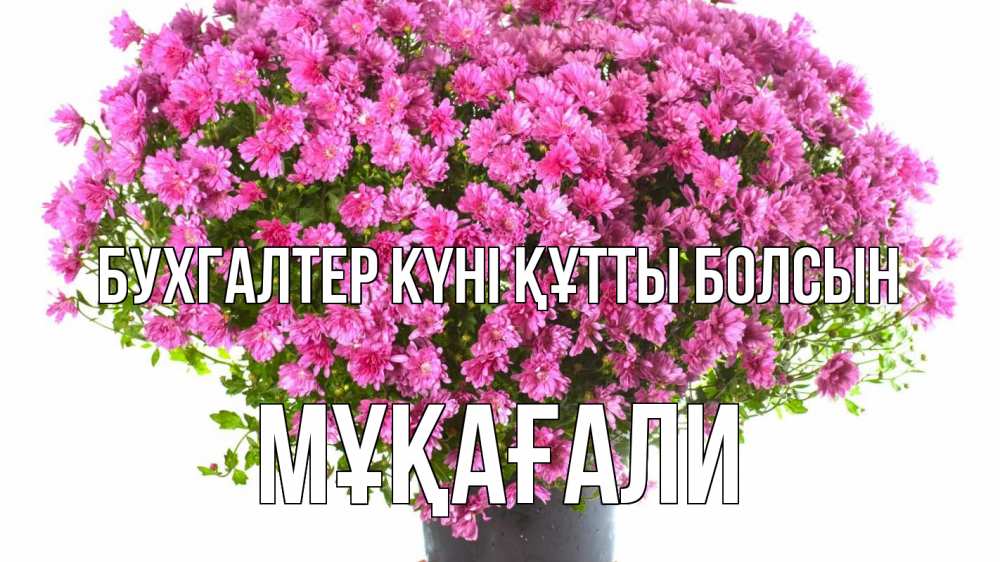 Күн сайын ашық хат с именем, МҰҚАҒАЛИ бухгалтер күні құтты болсын с днем бухгалтера Онлайн тегін жүктеп алу тілектері бар керемет карта 