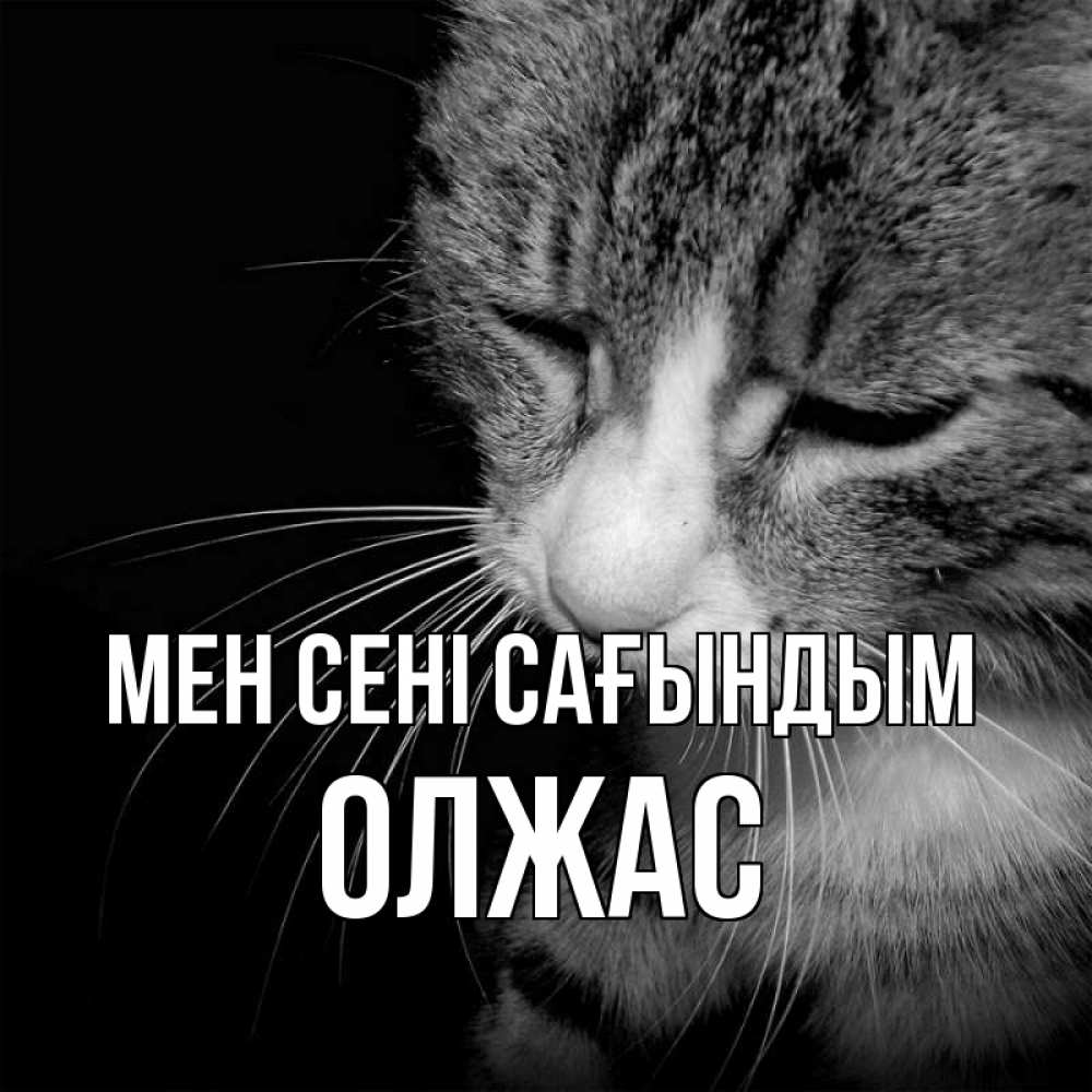 Күн сайын ашық хат с именем, ОЛЖАС Мен сені сағындым мне скучно Онлайн тегін жүктеп алу тілектері бар керемет карта 