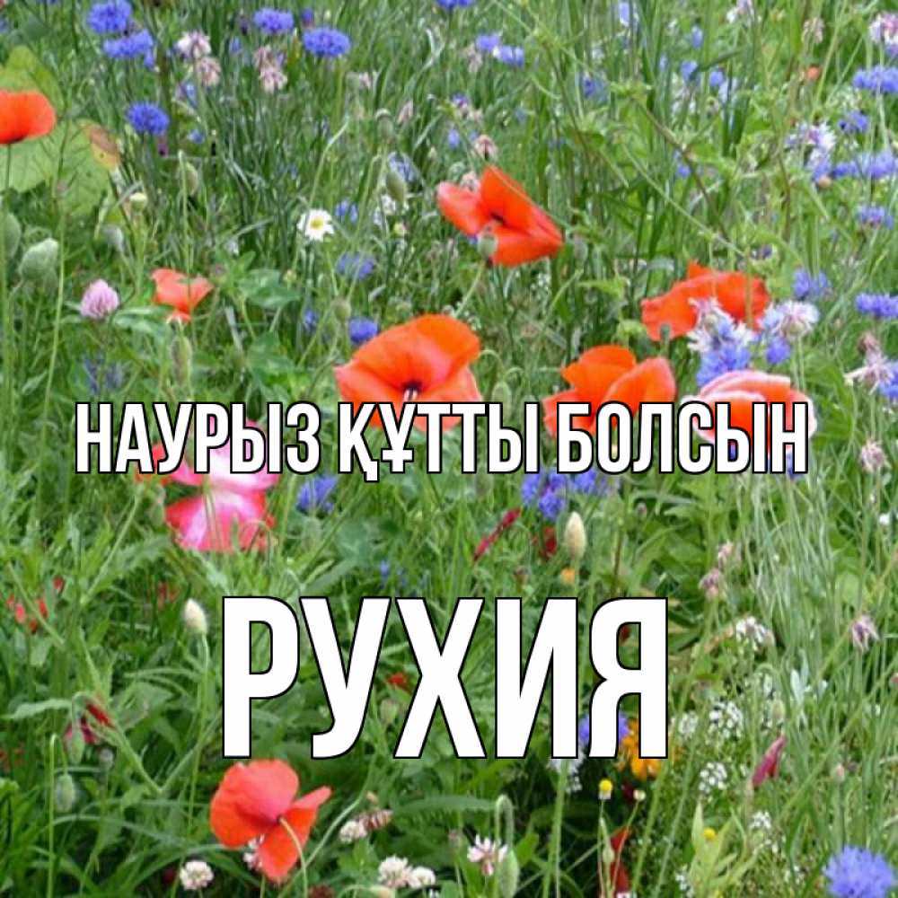 Күн сайын ашық хат с именем, РУХИЯ Наурыз құтты болсын наурыз  4 Онлайн тегін жүктеп алу тілектері бар керемет карта 