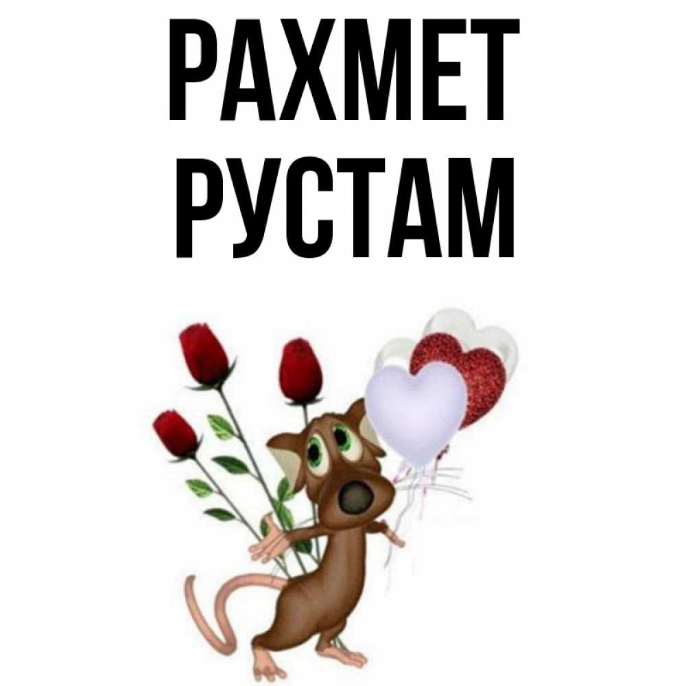 Күн сайын ашық хат с именем, Рустам рахмет песик с шариками в форме сердец Онлайн тегін жүктеп алу тілектері бар керемет карта 