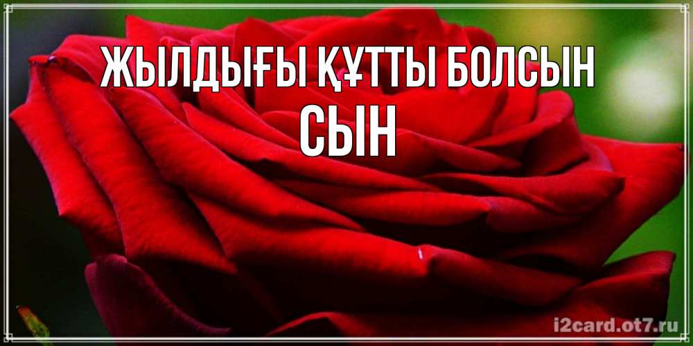 Күн сайын ашық хат с именем, Сын Жылдығы құтты болсын розочка очень красивая Онлайн тегін жүктеп алу тілектері бар керемет карта 