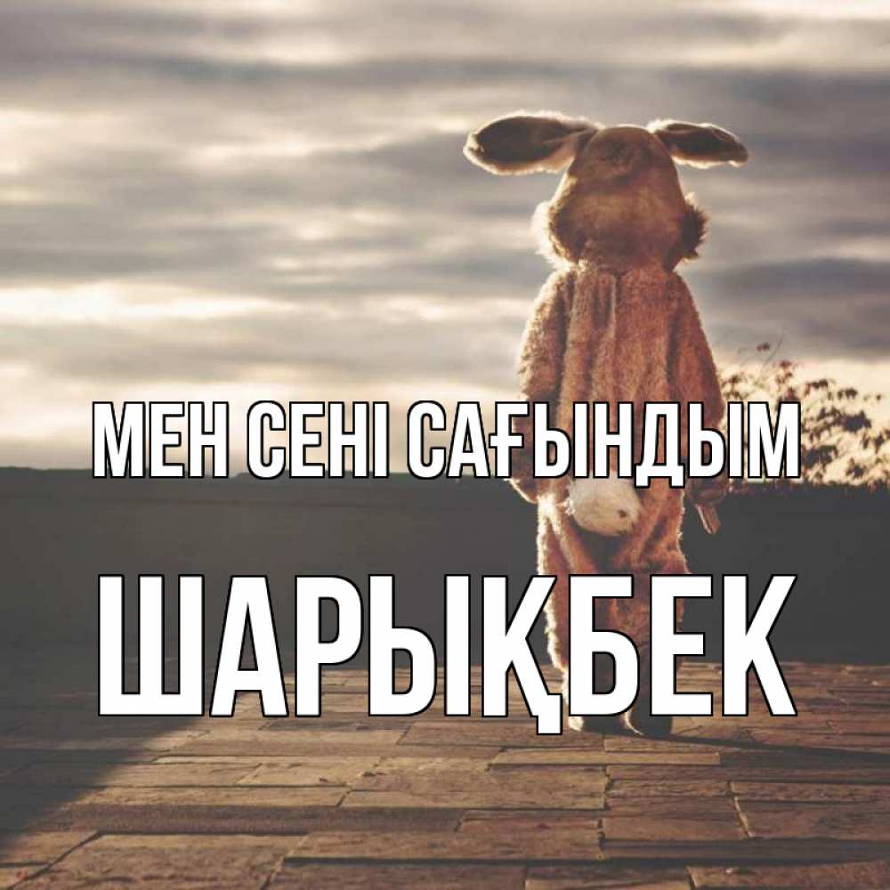 Күн сайын ашық хат с именем, ШАРЫҚБЕК Мен сені сағындым даже в костюме зайца Онлайн тегін жүктеп алу тілектері бар керемет карта 