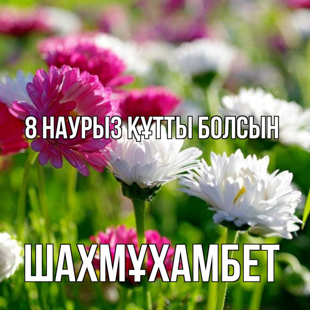 Күн сайын ашық хат с именем, ШАХМҰХАМБЕТ 8 наурыз құтты болсын международный женский день 1 Онлайн тегін жүктеп алу тілектері бар керемет карта 