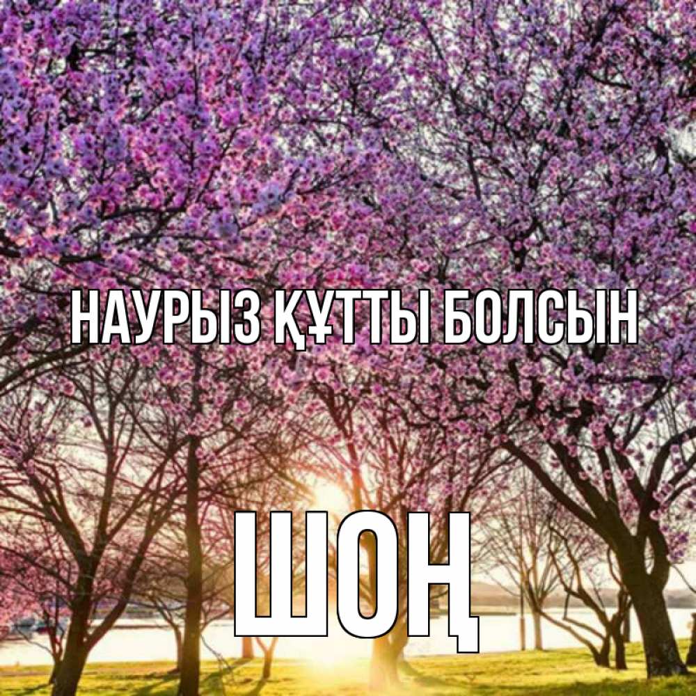Күн сайын ашық хат с именем, ШОҢ Наурыз құтты болсын наурыз Онлайн тегін жүктеп алу тілектері бар керемет карта 