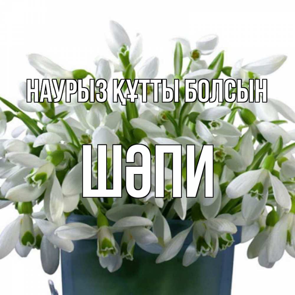 Күн сайын ашық хат с именем, ШӘПИ Наурыз құтты болсын цветы к наурызу Онлайн тегін жүктеп алу тілектері бар керемет карта 