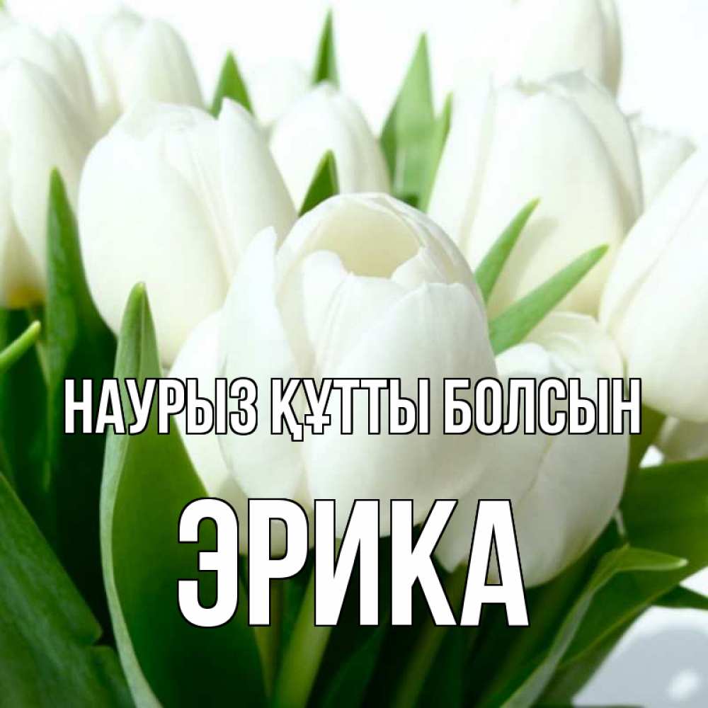 Күн сайын ашық хат с именем, Эрика Наурыз құтты болсын цветы Онлайн тегін жүктеп алу тілектері бар керемет карта 