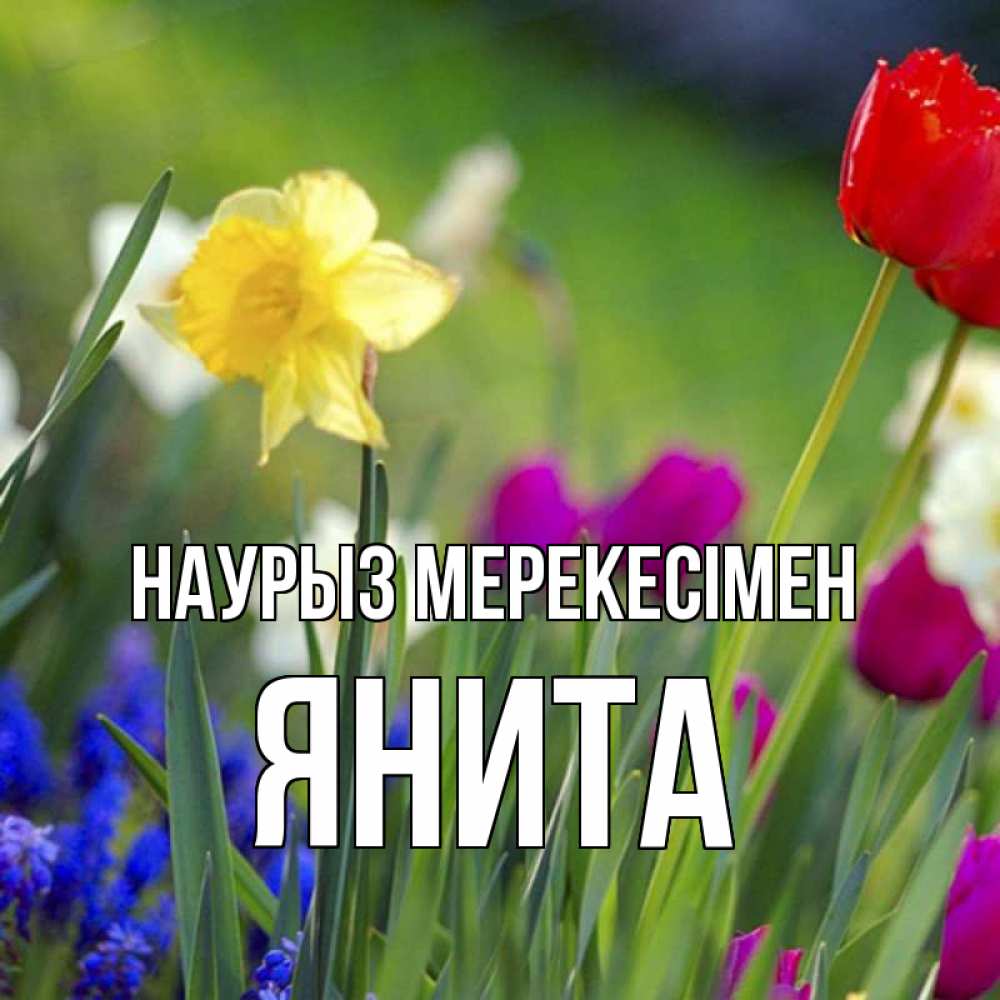 Күн сайын ашық хат с именем, Янита Наурыз мерекесімен праздник весны наурыз 3 Онлайн тегін жүктеп алу тілектері бар керемет карта 