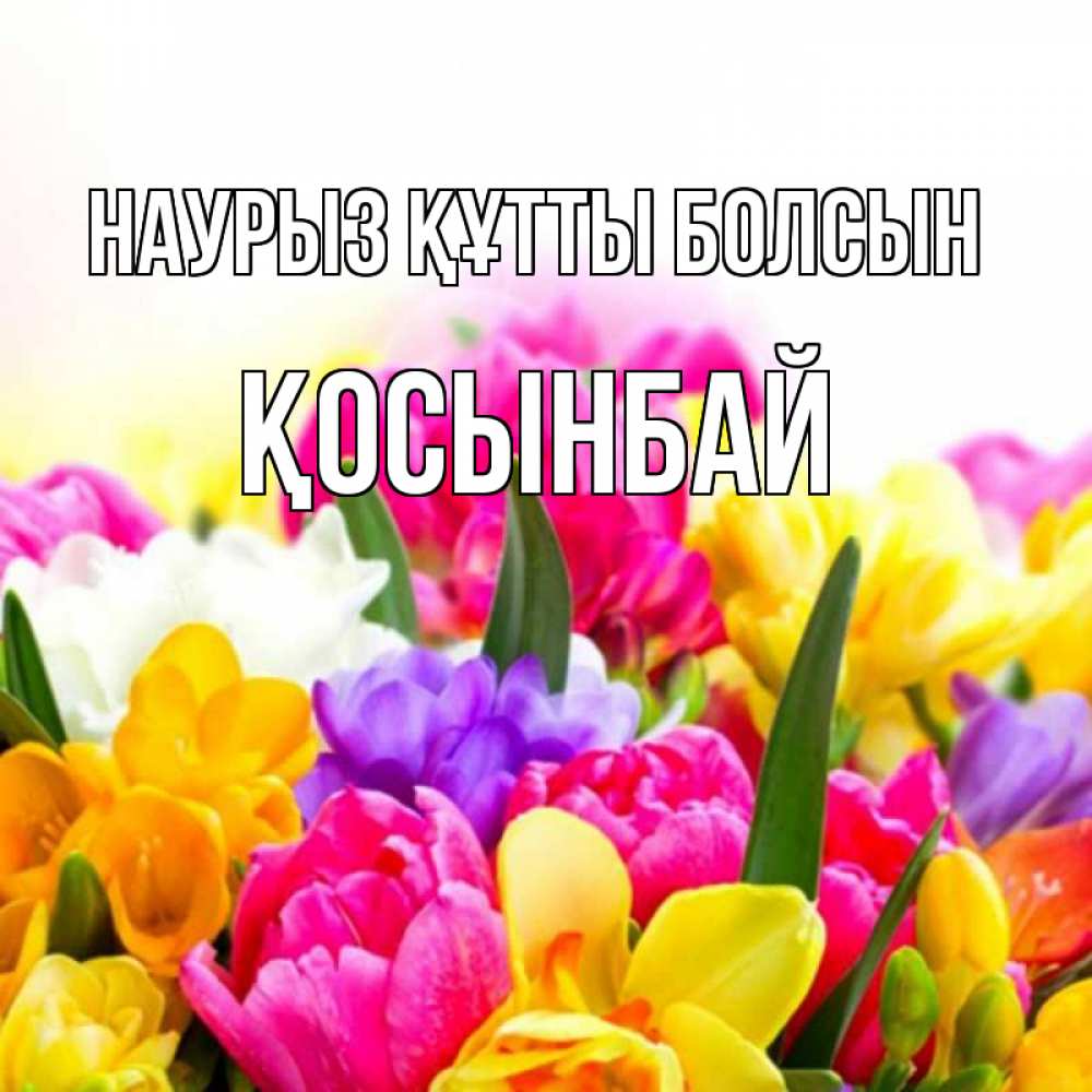 Күн сайын ашық хат с именем, ҚОСЫНБАЙ Наурыз құтты болсын тюльпаны Онлайн тегін жүктеп алу тілектері бар керемет карта 