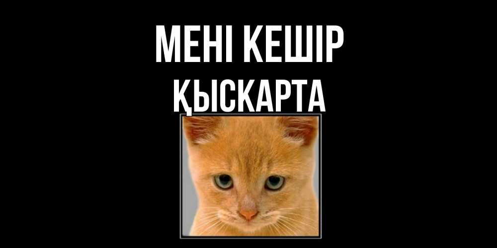 Күн сайын ашық хат с именем, Қыскарта Мені кешір рыжий грустный кот просит прощения Онлайн тегін жүктеп алу тілектері бар керемет карта 