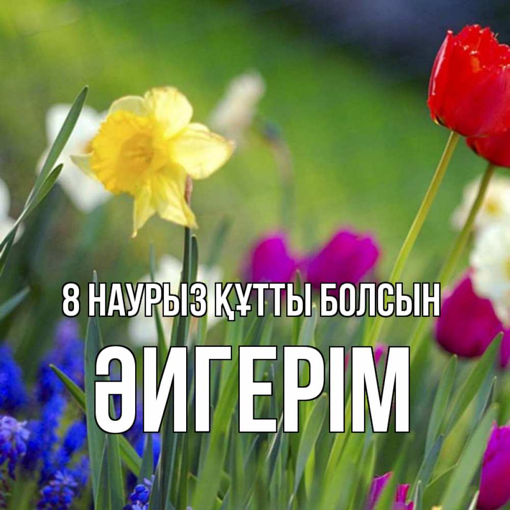 Күн сайын ашық хат с именем, ӘИГЕРІМ 8 наурыз құтты болсын международный женский день 3 Онлайн тегін жүктеп алу тілектері бар керемет карта 