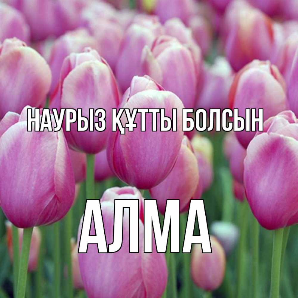 Күн сайын ашық хат с именем, АЛМА Наурыз құтты болсын на наурыз  день 3 Онлайн тегін жүктеп алу тілектері бар керемет карта 